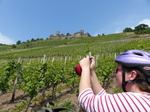 FZ017279 Jenni taking photos by Burg Thurant.jpg